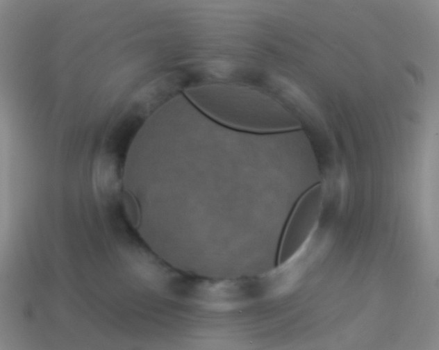 X0000113880186200910081754