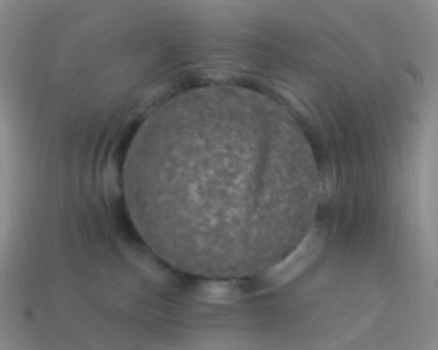 X0000113880187200910081754