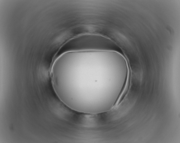 X0000113880188200910081754