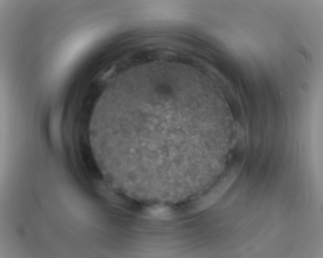 X0000113880189200910081754