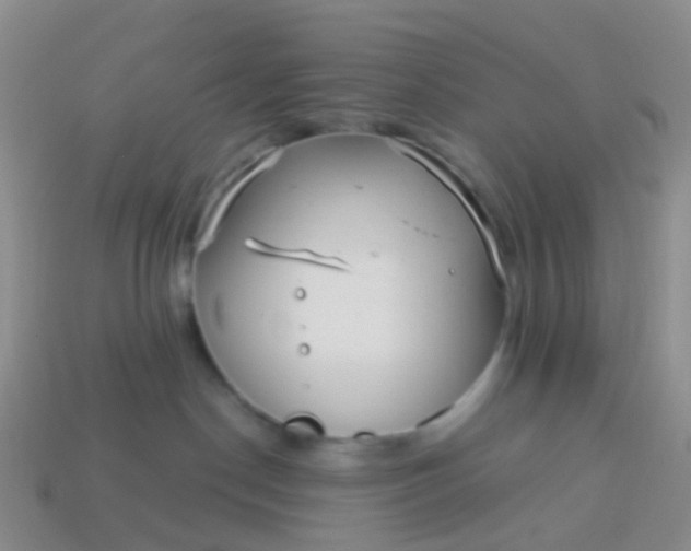 X0000113880190200910081754