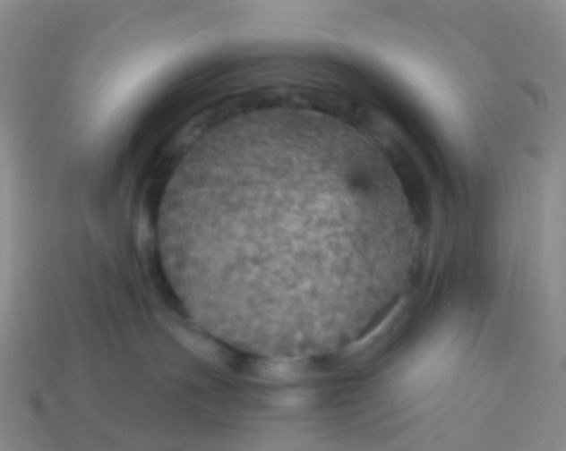 X0000113880191200910081754