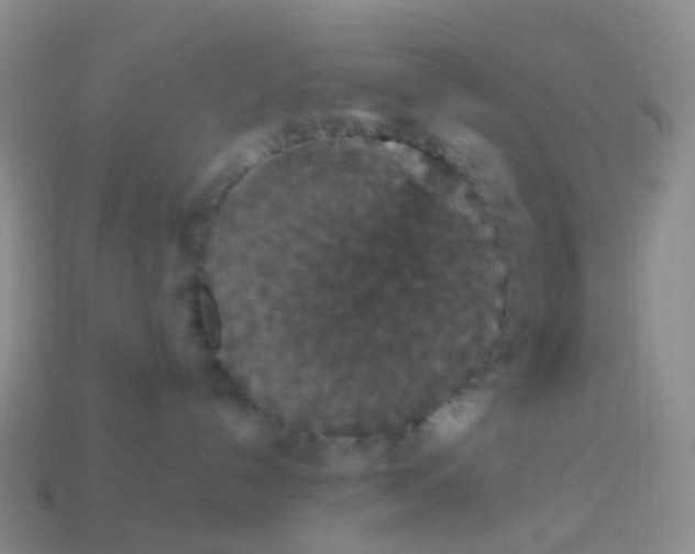 X0000113880192200910081754