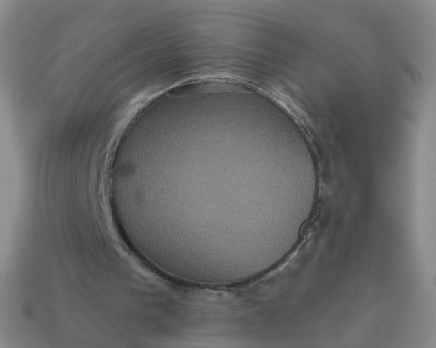 X0000113880193200910081754