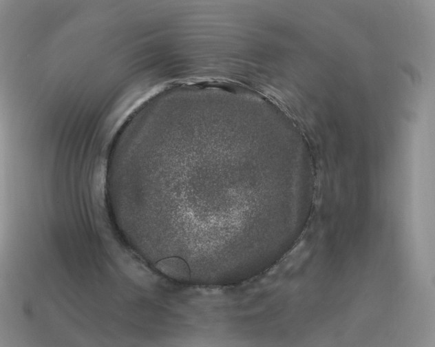 X0000113880194200910081754