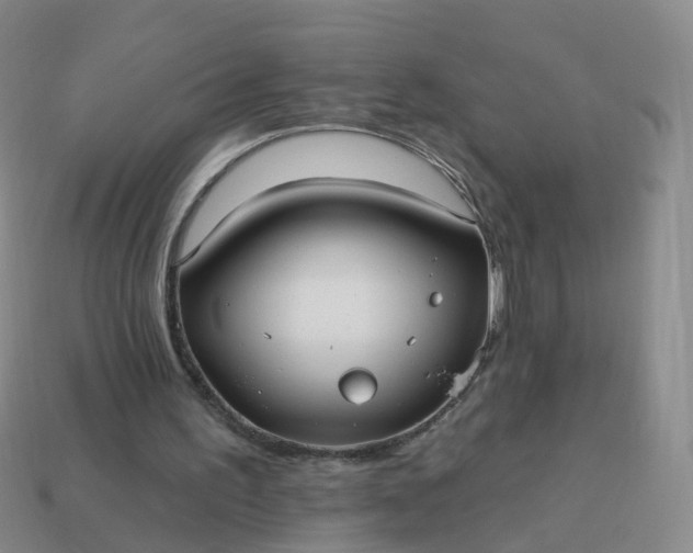 X0000113880195200910081754