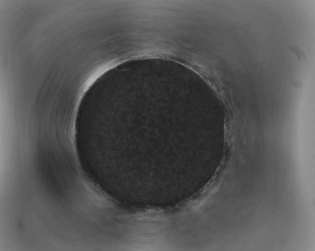 X0000113880196200910081754