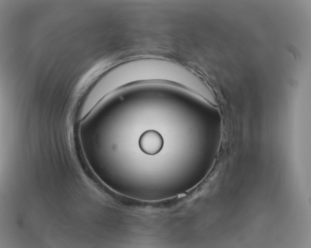 X0000113880197200910081754