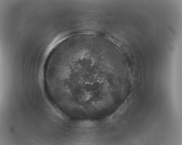 X0000113880198200910081754