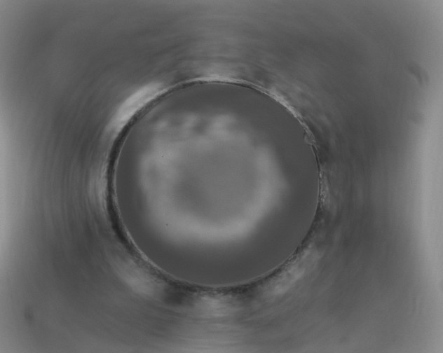 X0000113880199200910081754