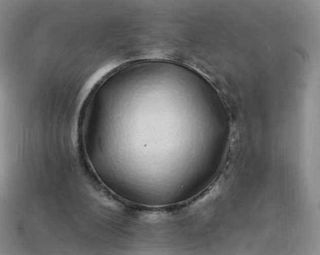 X0000113880200200910081754