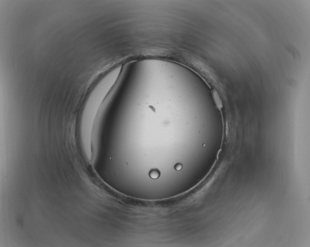 X0000113880201200910081754