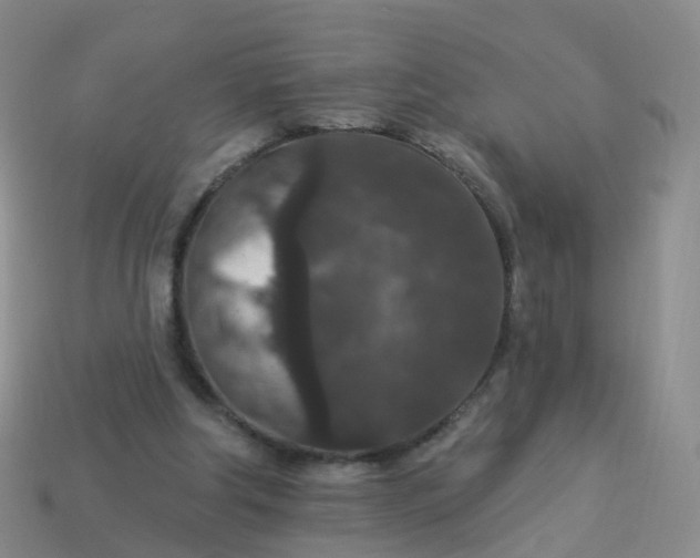 X0000113880202200910081754