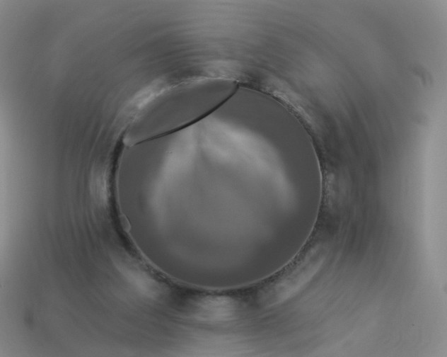 X0000113880203200910081754