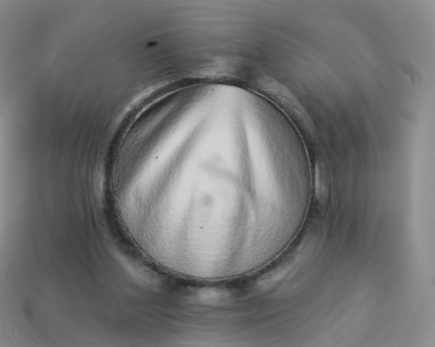 X0000113880204200910081754