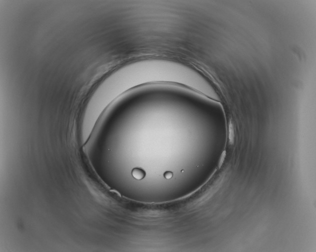 X0000113880205200910081754