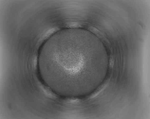 X0000113880206200910081754