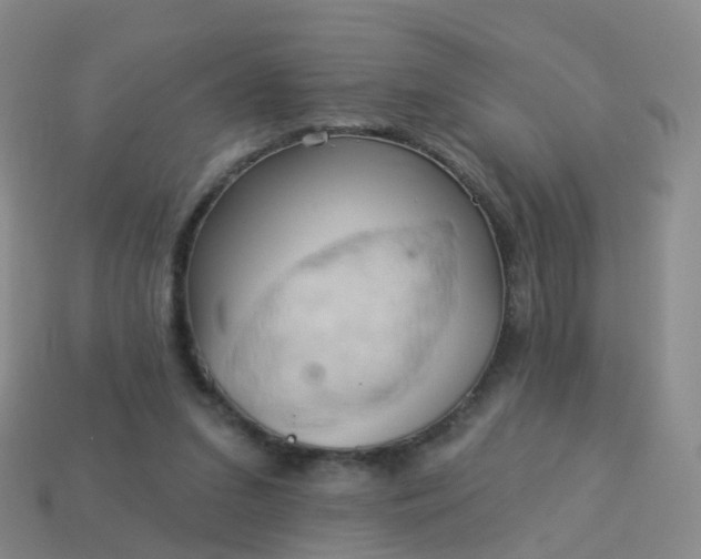 X0000113880207200910081754