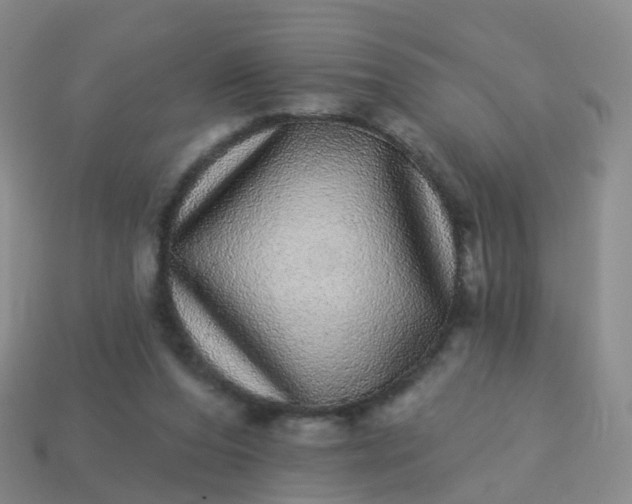 X0000113880208200910081754