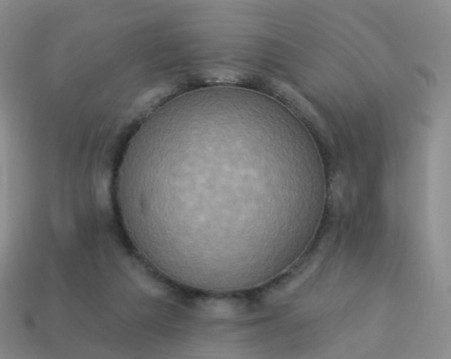 X0000113880209200910081754