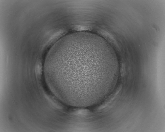 X0000113880210200910081754