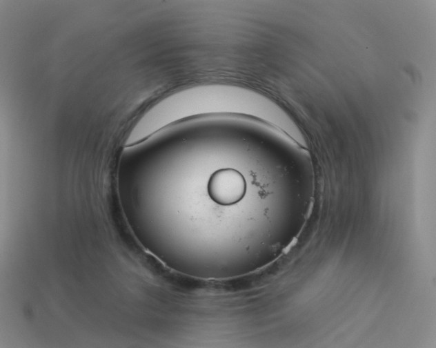 X0000113880211200910081754