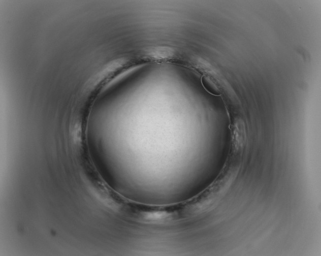 X0000113880212200910081753