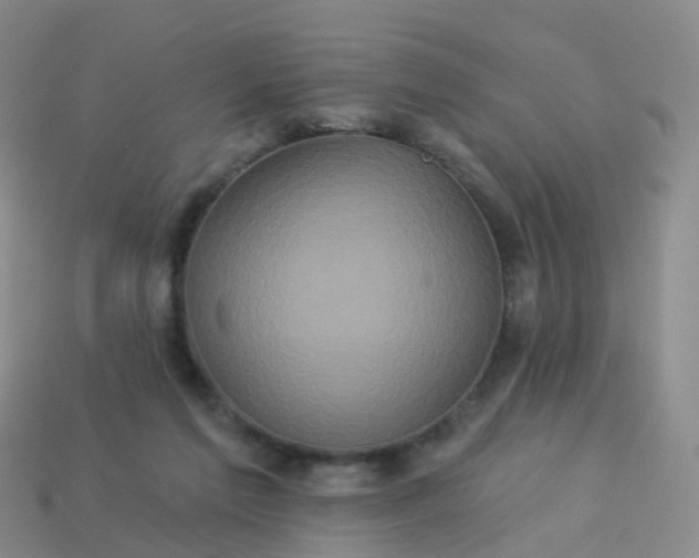 X0000113880213200910081753