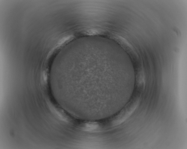 X0000113880214200910081753