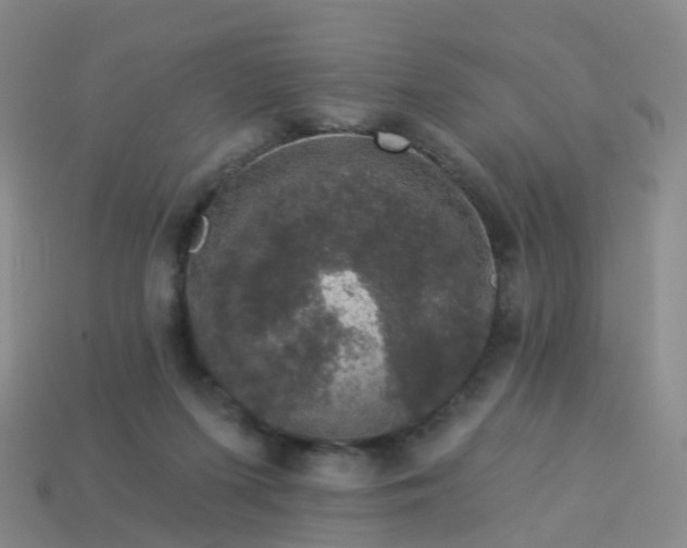 X0000113880215200910081753