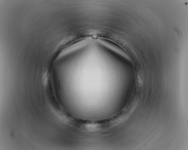 X0000113880216200910081753