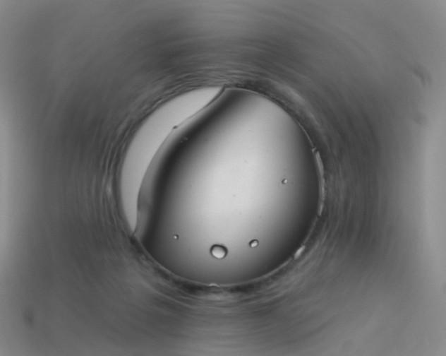 X0000113880217200910081753