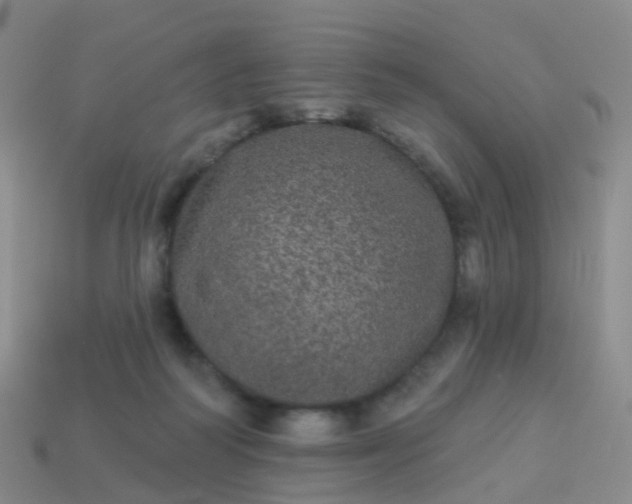 X0000113880218200910081753