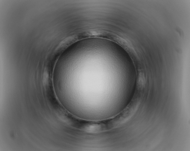 X0000113880220200910081753