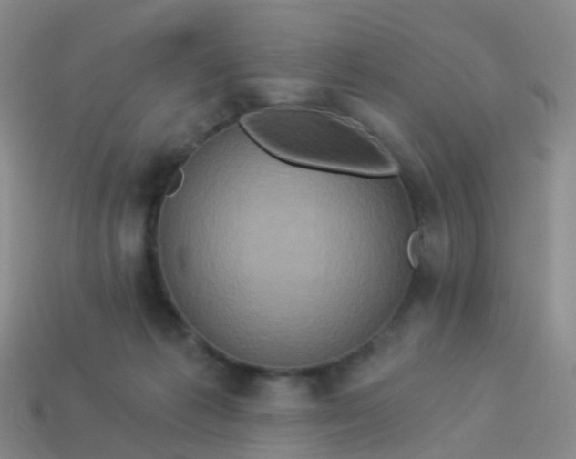 X0000113880221200910081753