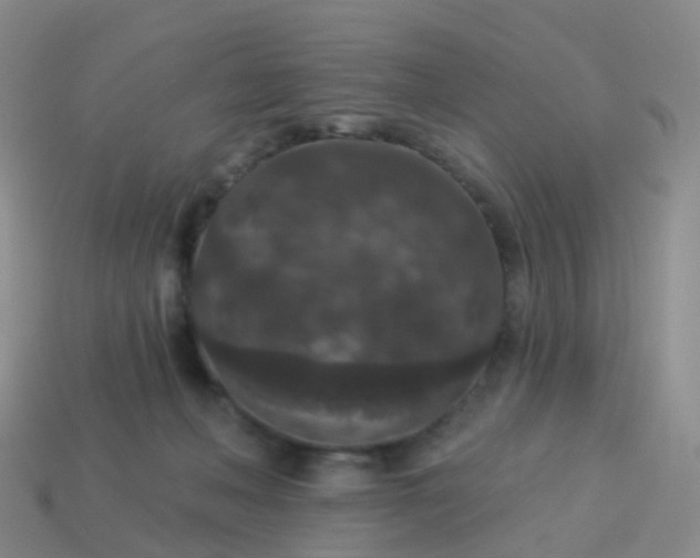 X0000113880222200910081753