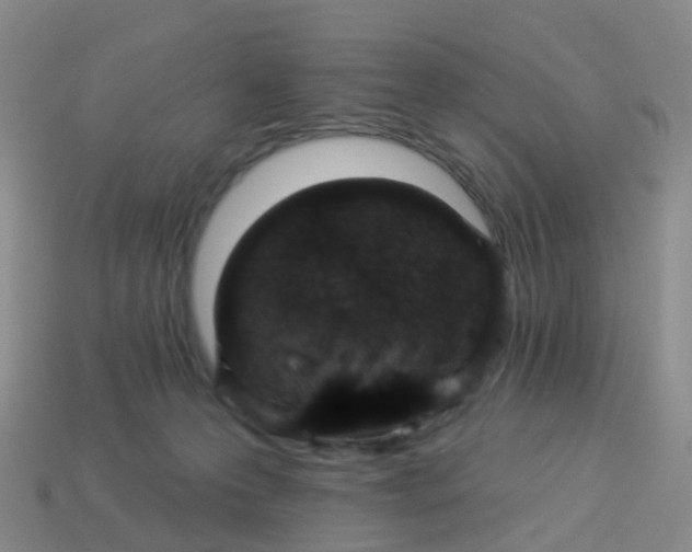 X0000113880223200910081753