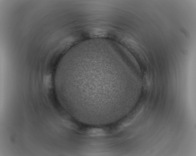 X0000113880224200910081753