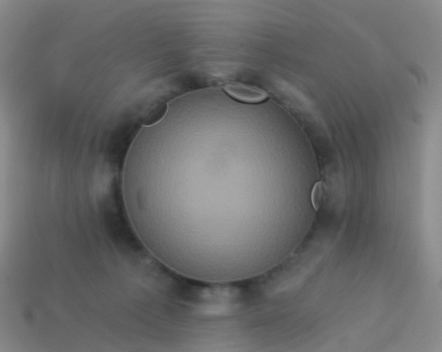 X0000113880225200910081753