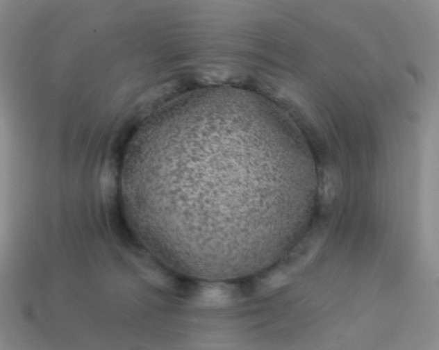 X0000113880226200910081753