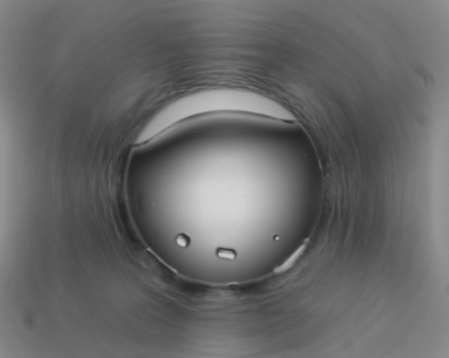 X0000113880227200910081753