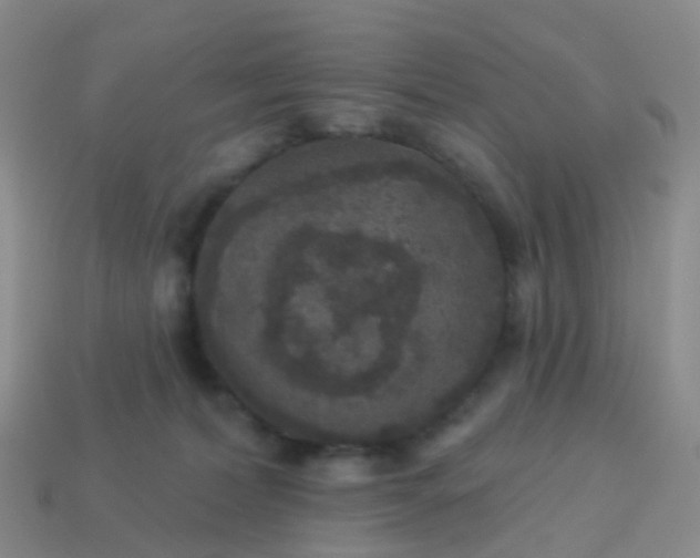 X0000113880228200910081753