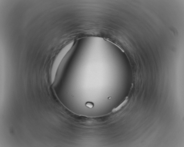 X0000113880229200910081753