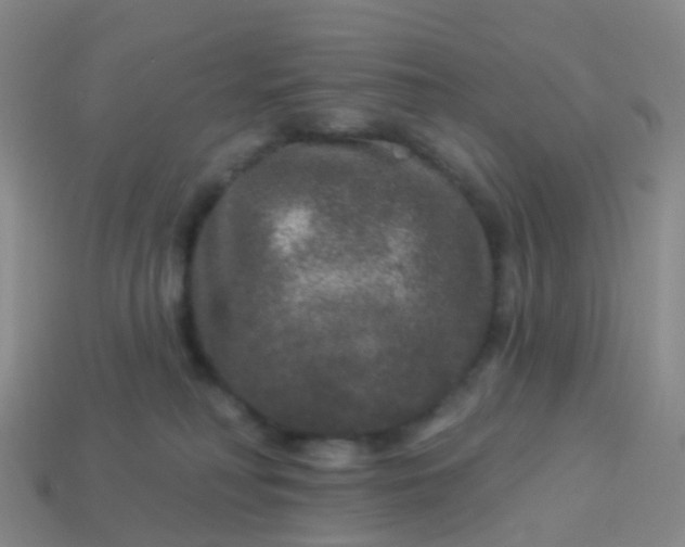 X0000113880230200910081753