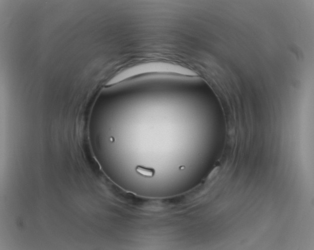 X0000113880231200910081753