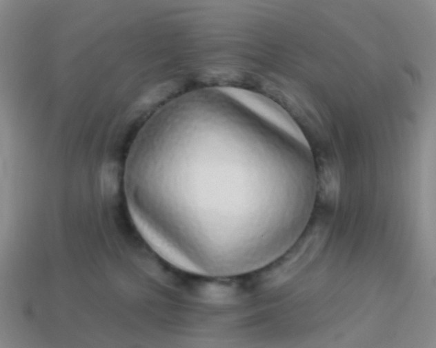 X0000113880232200910081753