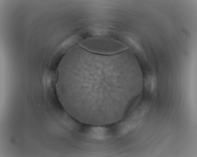 X0000113880233200910081753