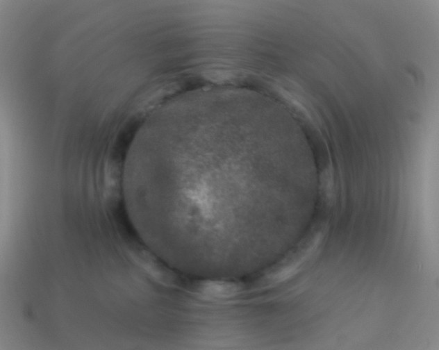 X0000113880234200910081753