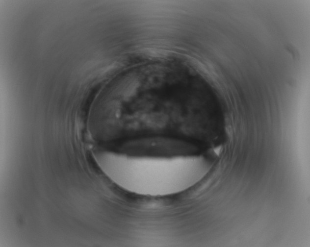 X0000113880235200910081753