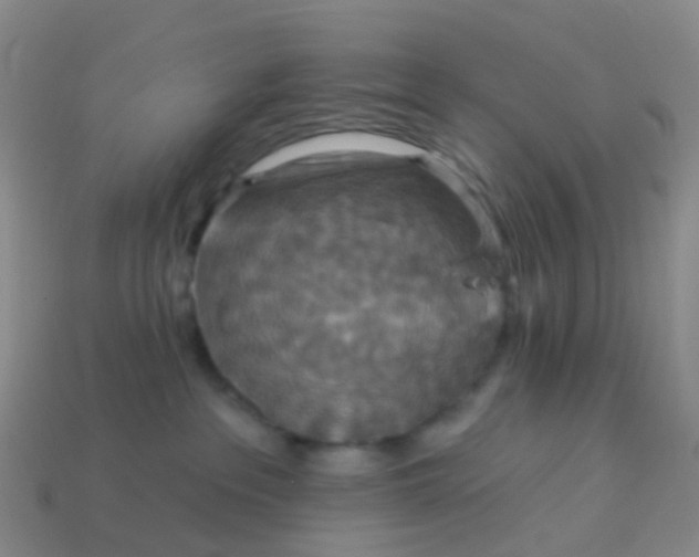 X0000113880237200910081753